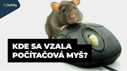 Kde sa vzala počítačová myš? Ako si vybrať tú správnu? 